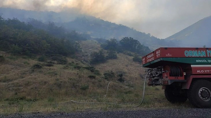 Bingöl'de iki köyde çıkan orman yangını büyümeden söndürüldü