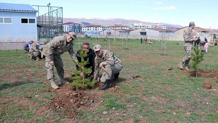 Bingöl'de jandarma şehitler anısına fidan dikti