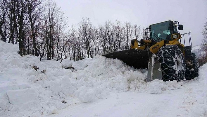 Bingöl'de kapalı olan 21 köy yolunda çalışmalar sürüyor