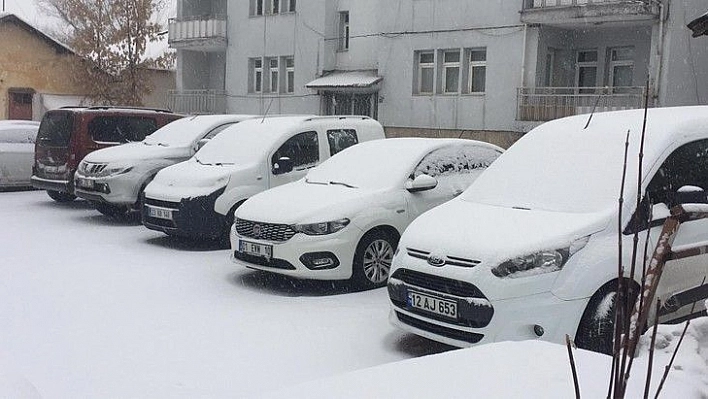 Bingöl'de kar yeniden etkisini gösterdi