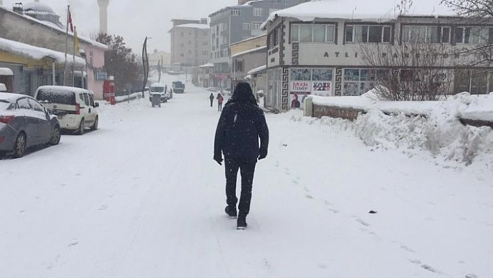 Bingöl'de kar yeniden etkisini gösterdi