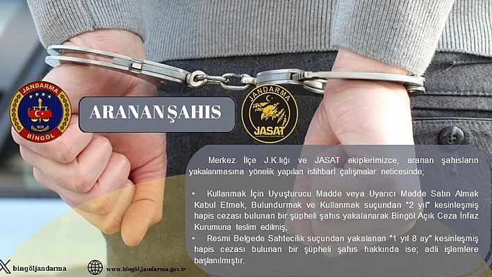 Bingöl'de kesinleşmiş hapis cezası bulunan 2 kişi yakalandı