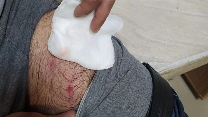 Bingöl'de köpek sürüsü, evine giden adama saldırdı