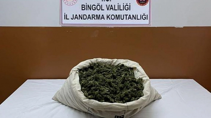 Bingöl'de narkoterör operasyonu: 32 bin kök kenevir ele geçirildi