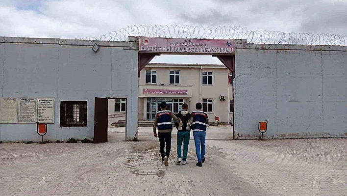 Bingöl'de yakalanan şahıslar Elazığ'a getirildi