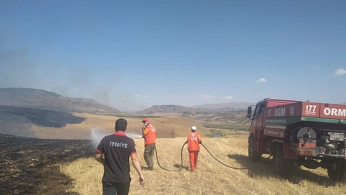 Bingöl'de örtü yangını ormanlık alana sıçramadan söndürüldü