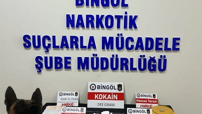 Bingöl'de uyuşturucu operasyonu: 4 gözaltı