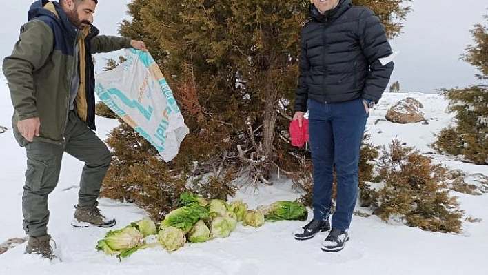 Bingöl'de yaban hayvanları için doğaya yem bırakıldı