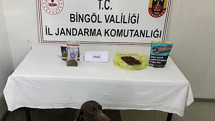 Bingöl'de yolcunun üzerinden bonzai çıktı