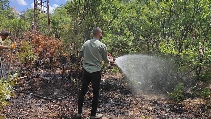 Bingöl'deki orman yangını kontrol altına alındı