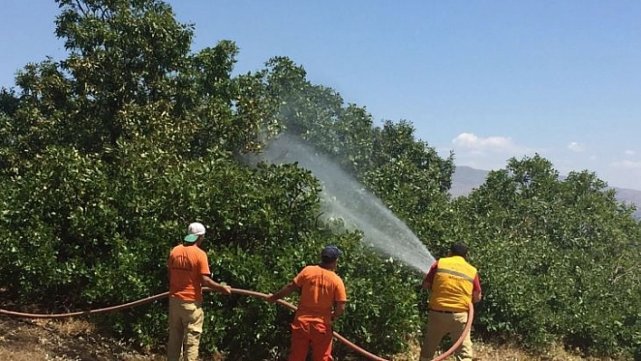 Bingöl'deki orman yangını söndürüldü, soğutma çalışmaları sürüyor