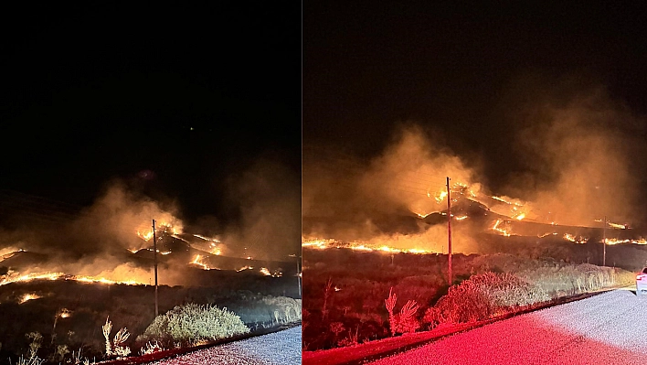 Bingöl'deki orman yangını söndürüldü