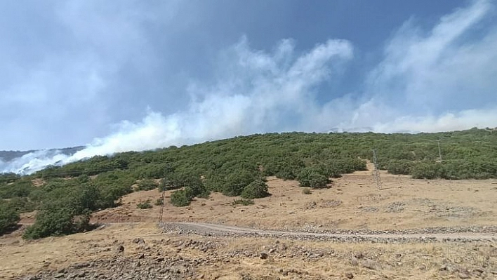 Bingöl'deki orman yangınına müdahale sürüyor