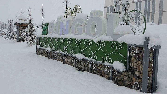 Bingöl kar kalınlığı 40 santime ulaştı: 283 köy yolu kapandı