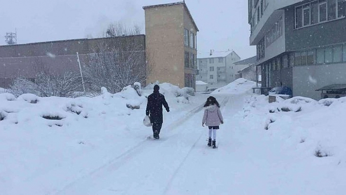 Bingöl'ün 2 ilçesine kar engeli