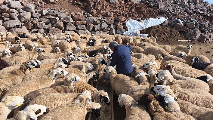 Bölgede 24 saat şap nöbeti