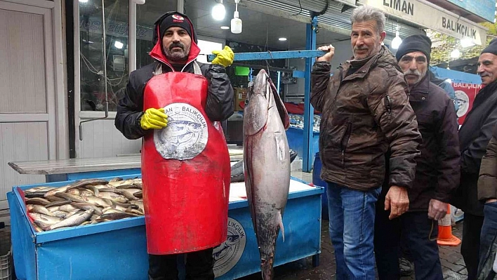 Bu balıkları görenler dönüp bir daha bakıyor, fotoğraf çekiyor