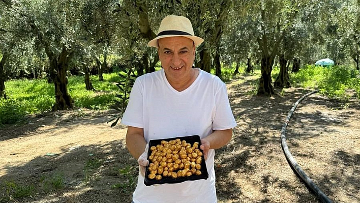 Bu da oldu: Altın kaplamalı zeytin yok satıyor