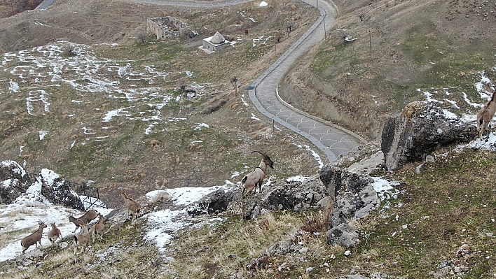 Bu kez Palu Kalesi'nde Drone ile görüntülendiler