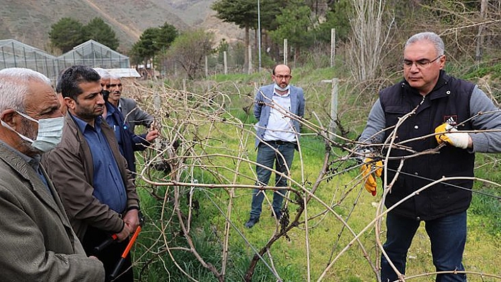 Budur İşte…