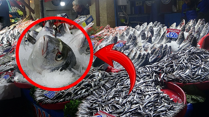 Burası Karadeniz'in değil Elazığ'ın tezgahı