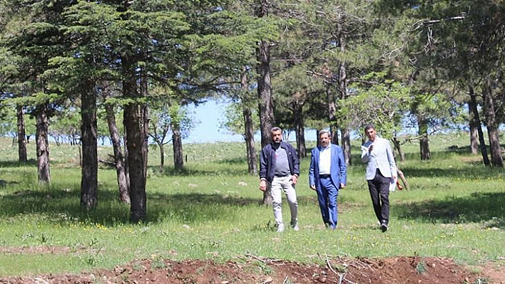 Çakırkaş Mesire Alanında Sona Gelindi