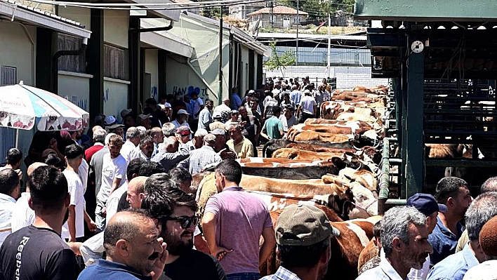 Canlı Hayvan Pazarında Arife Günü Yoğunluğu