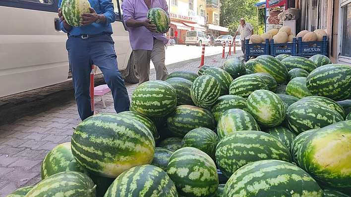 Çemişgezek'te 'Hıdıroz' karpuzu tezgahlardaki yerini aldı