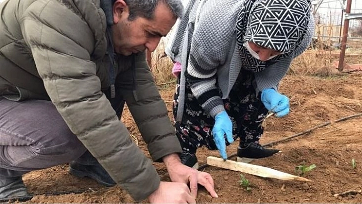 Çiftçilere mazot ve gübre desteği ödemeleri başladı