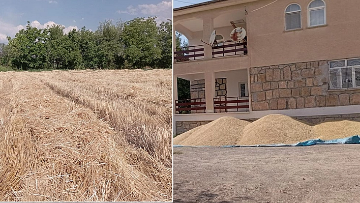 Çiftçinin Ürünü Yerde, Yetkililer Nerede?