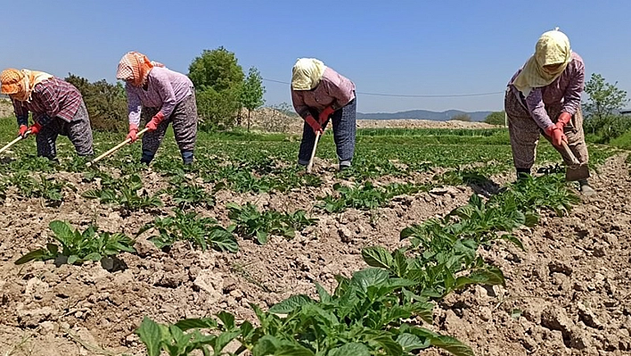 Çiftçiye ve üreticiye kara haber