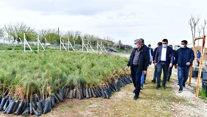 Çınar, Tepeköy fidanlık alanında ki çalışmaları inceledi