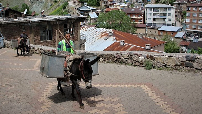 Dar Sokaklardaki Çöpler 'Kadrolu Eşeklere' Emanet