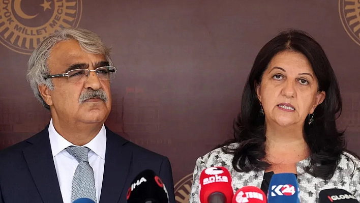 DEM Parti heyeti yeniden İmralı'ya gitti