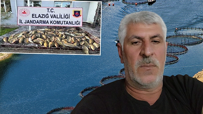 Denetimsizlik balık neslini tüketiyor
