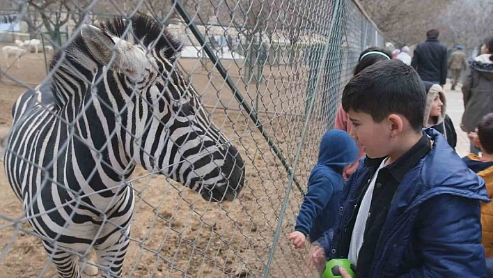 Depremzede çocuklara hayvanat bahçesi morali