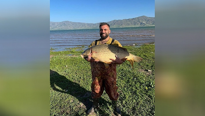 Dev sazan Elazığ'da yakalandı: 32 kiloluk gurur