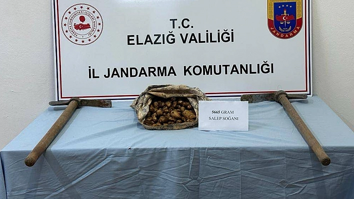 Devasa Cezalar da Caydırıcı Olmuyor: Elazığ'da Bir Şahıs Daha Yakalandı