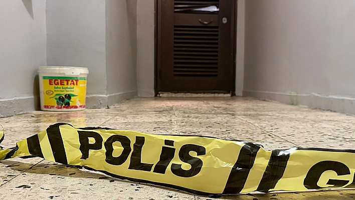 Diyarbakır'da bir şahıs anne ve ağabeyini yataklarında öldürdü