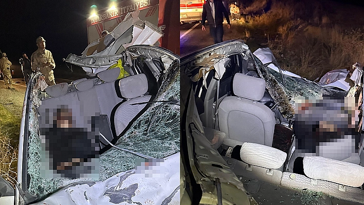 Diyarbakır'da iki otomobil ile at çarpıştı: 1 ölü, 7 yaralı