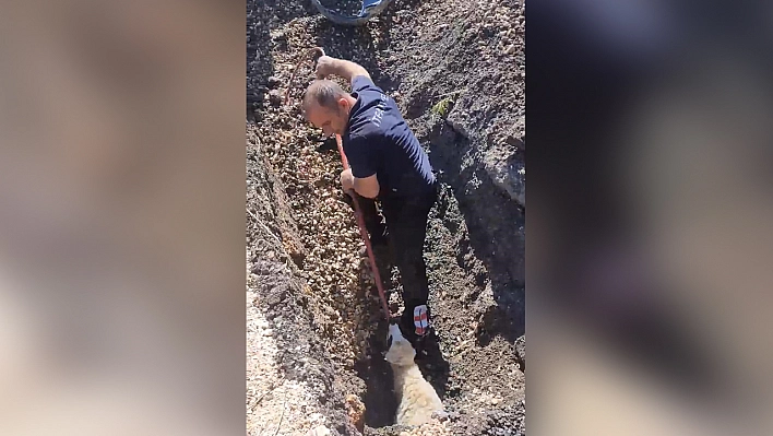 Diyarbakır'da kanalizasyon borusunda mahsur kalan kuzu böyle kurtarıldı