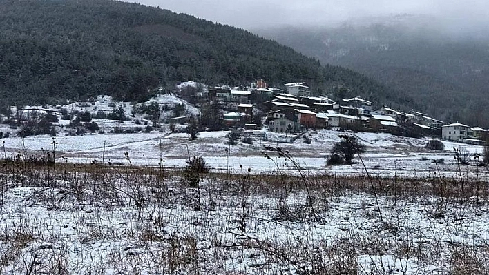 Doğu Anadolu'nun yüksek kesimlerinde kar yağışı