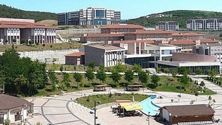 Düzce Üniversitesi 17 Öğretim Üyesi alıyor