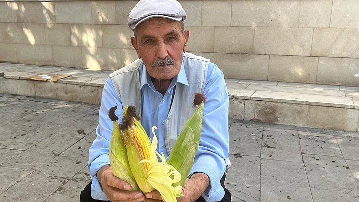 Elaızğ'da 75 Yaşında mısır satarak geçimini sağlıyor 