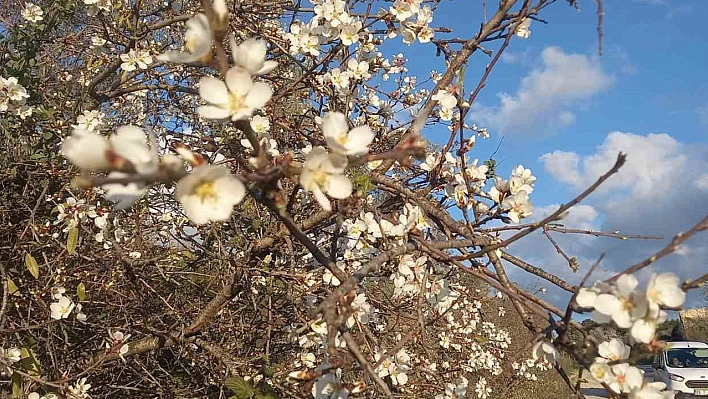 Elazığ'a cemre ne zaman düşecek?