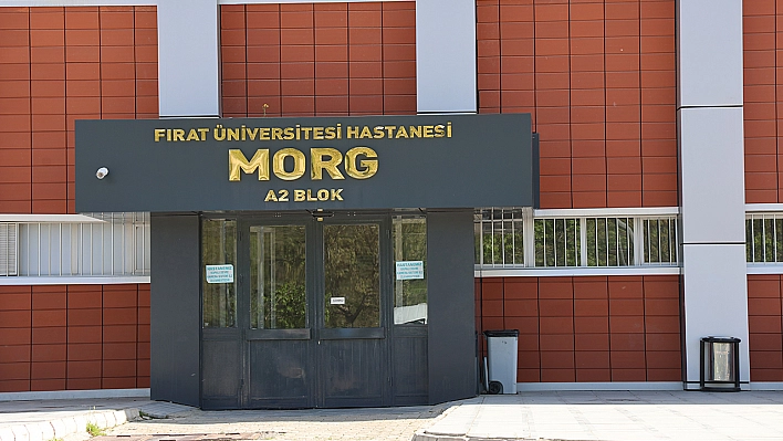 Elazığ'a üzüm almaya gitti, yaşamını yitirdi