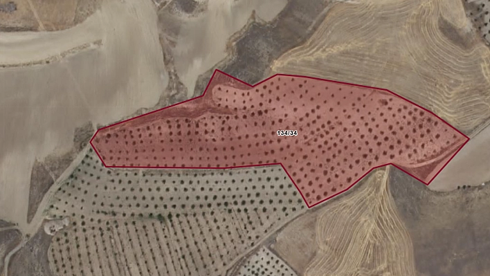 Elazığ Baskil'de 27 dönümlük kayısı bahçesi icradan satışa çıkıyor… Değerinden aşağıya satılacak