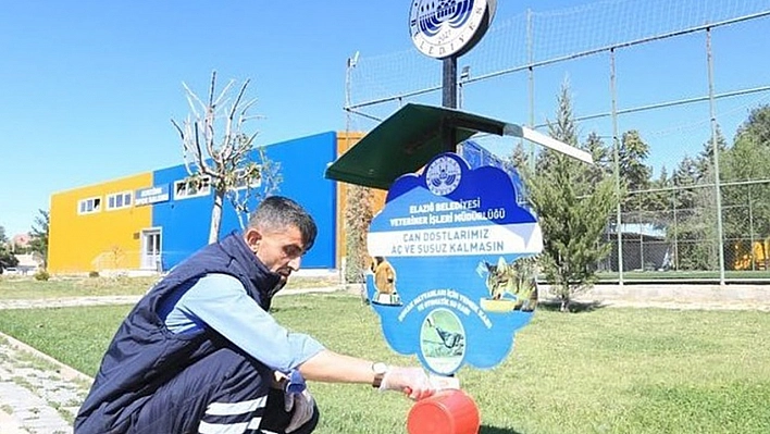 Elazığ Belediyesi sokak hayvanlarını unutmadı