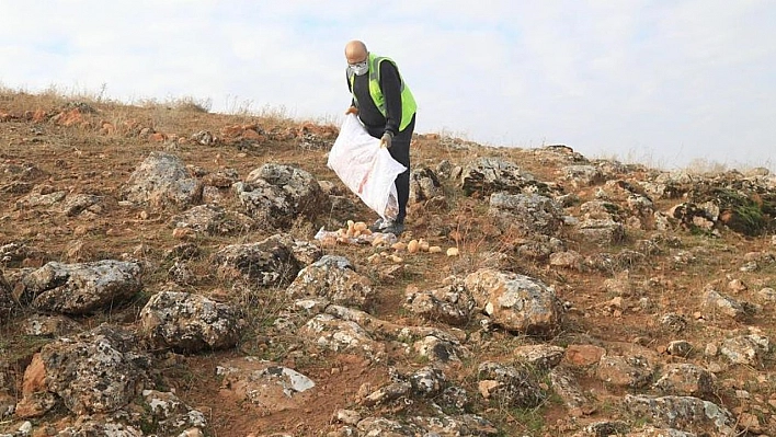 Elazığ Belediyesi, sokak ve yaban hayvanları için yem bıraktı