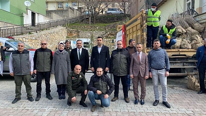 Elazığ'da 10 Bin Fidan Dağıtıldı